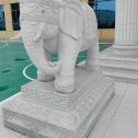 北海 白麻花岗岩动物异形石雕-大象