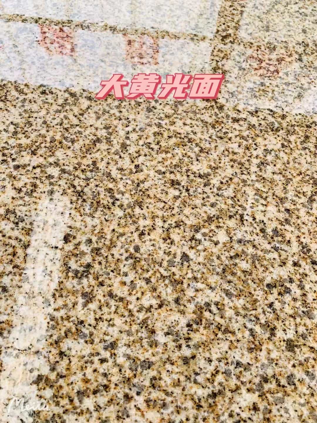 北海黄金麻大黄光面